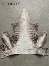 画像2: ヒマラヤクロコダイル　ナチュラル　ワニ革　ナイルクロコダイル　クロコダイル革　エキゾチックレザー　アゴ　ハギレ (2)