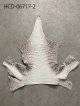 HCD-06717-2