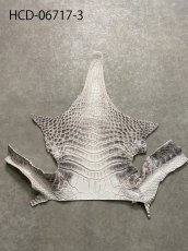 画像8: ヒマラヤクロコダイル　ナチュラル　ワニ革　ナイルクロコダイル　クロコダイル革　エキゾチックレザー　アゴ　ハギレ (8)