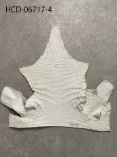 画像12: ヒマラヤクロコダイル　ナチュラル　ワニ革　ナイルクロコダイル　クロコダイル革　エキゾチックレザー　アゴ　ハギレ (12)