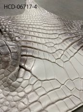 画像13: ヒマラヤクロコダイル　ナチュラル　ワニ革　ナイルクロコダイル　クロコダイル革　エキゾチックレザー　アゴ　ハギレ (13)