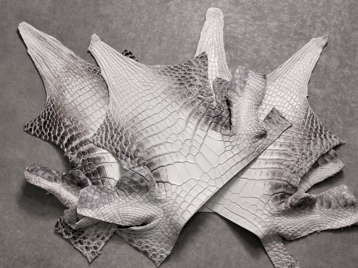 画像1: ヒマラヤクロコダイル　ナチュラル　ワニ革　ナイルクロコダイル　クロコダイル革　エキゾチックレザー　アゴ　ハギレ (1)