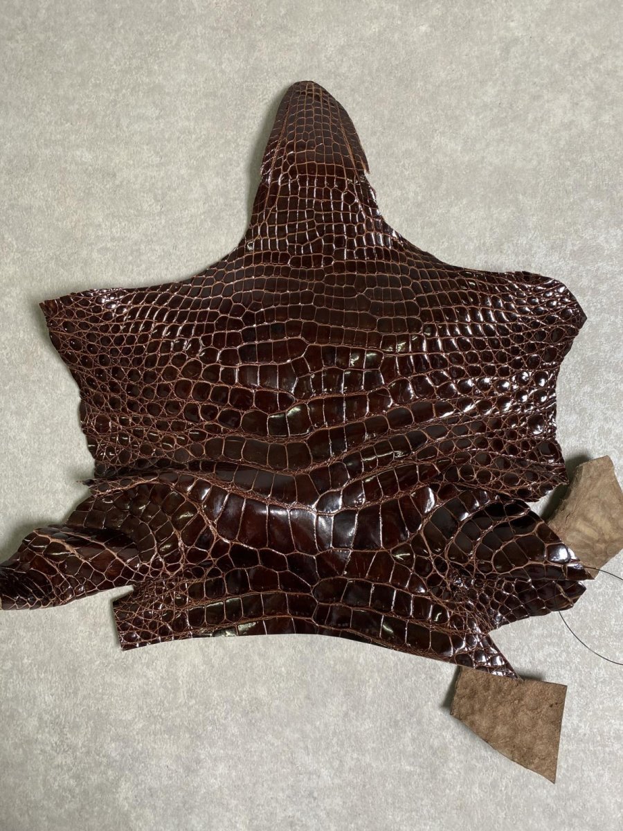 画像1: クロコダイル アゴ　シャイニング　ダークブラウン (1)