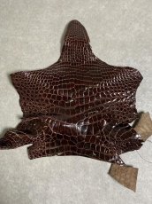 画像1: クロコダイル アゴ　シャイニング　ダークブラウン (1)