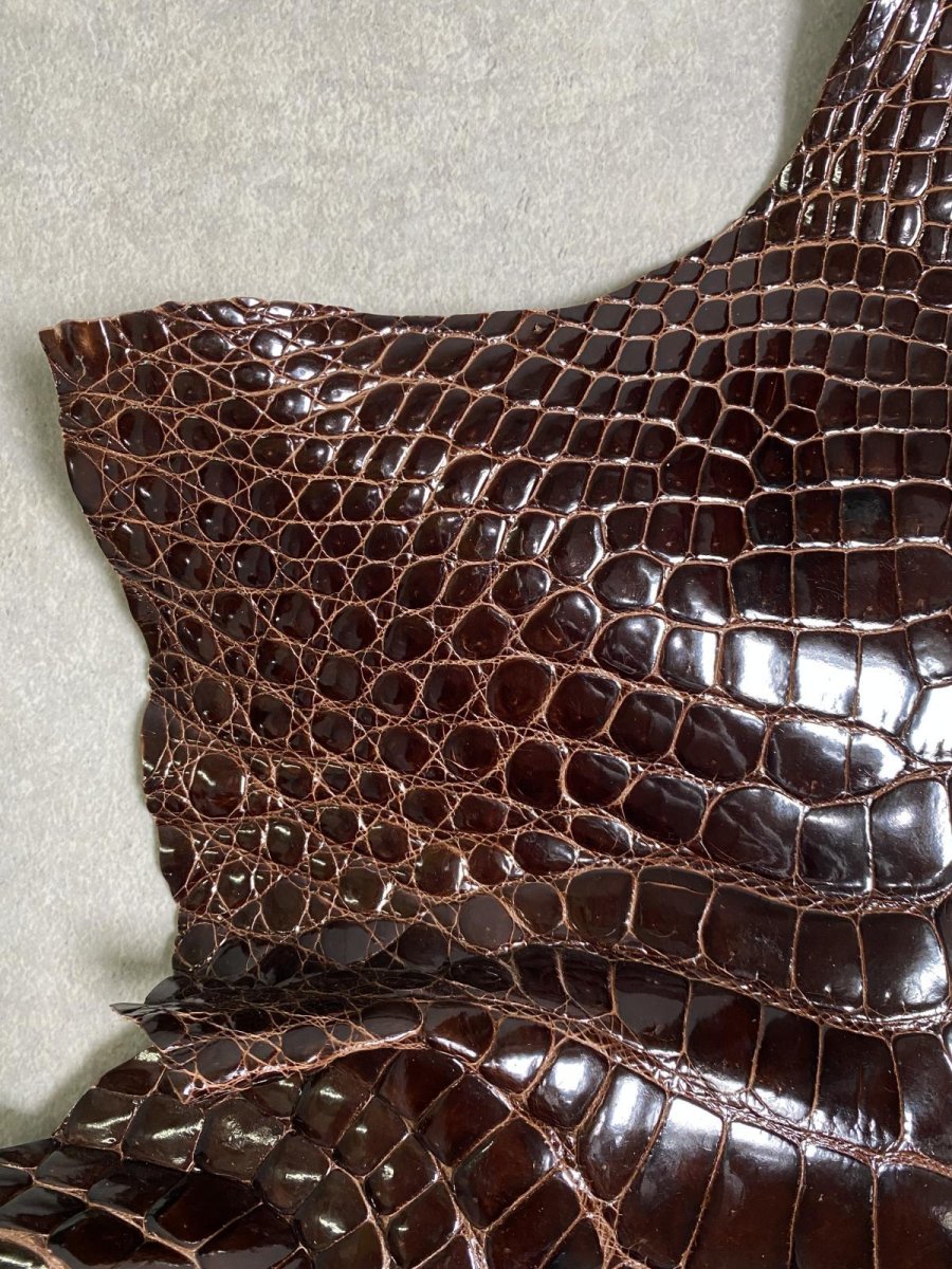 画像2: クロコダイル アゴ　シャイニング　ダークブラウン (2)