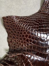 画像2: クロコダイル アゴ　シャイニング　ダークブラウン (2)