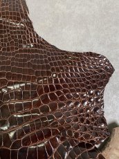 画像3: クロコダイル アゴ　シャイニング　ダークブラウン (3)