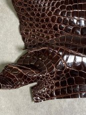 画像4: クロコダイル アゴ　シャイニング　ダークブラウン (4)