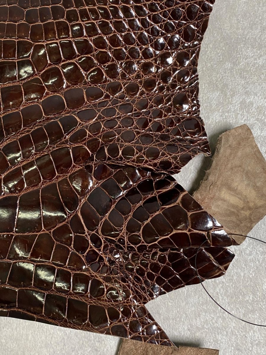 画像5: クロコダイル アゴ　シャイニング　ダークブラウン (5)