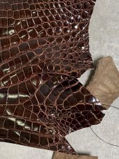 画像5: クロコダイル アゴ　シャイニング　ダークブラウン (5)