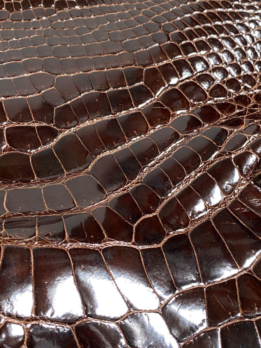画像6: クロコダイル アゴ　シャイニング　ダークブラウン (6)