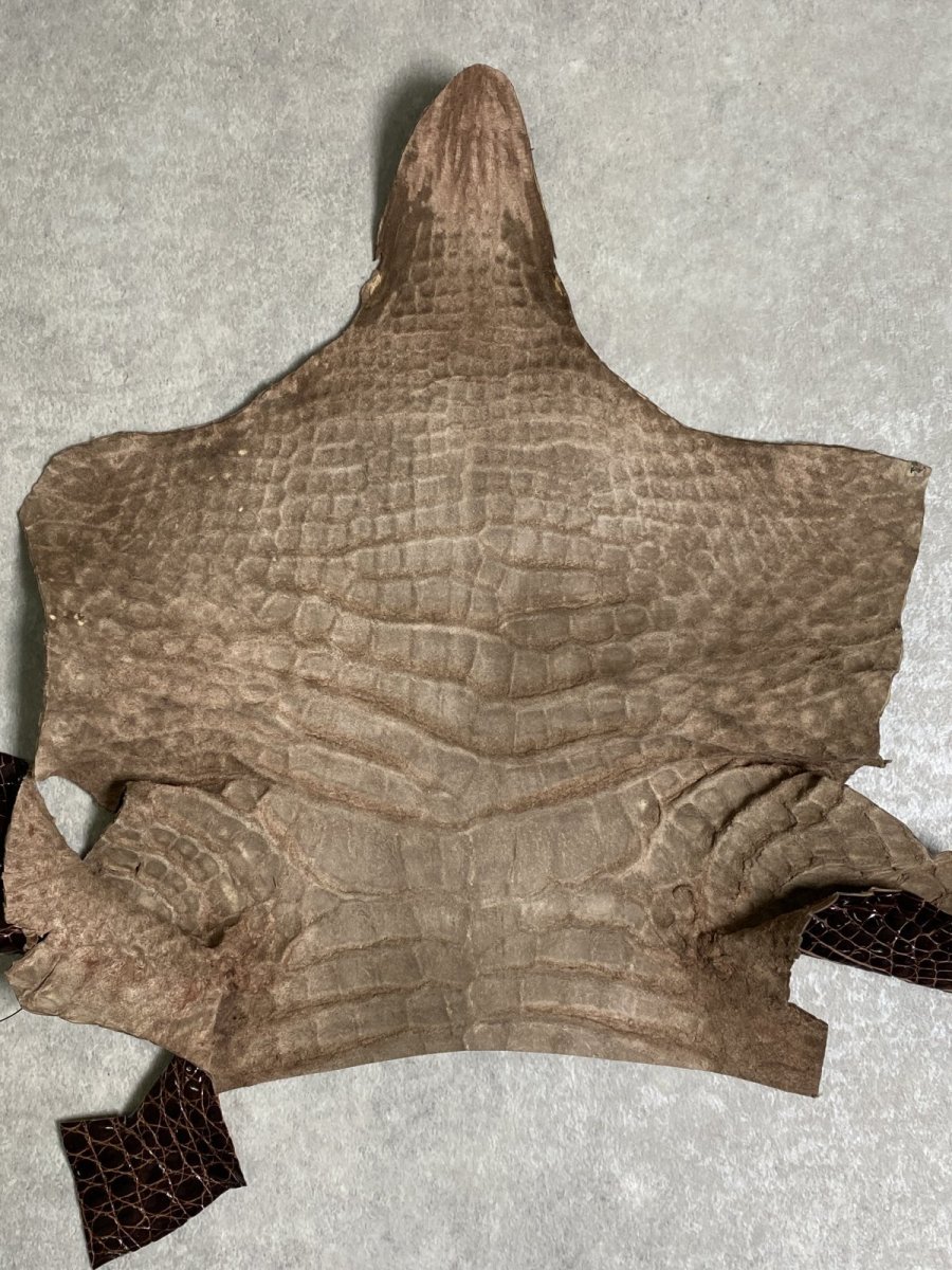 画像9: クロコダイル アゴ　シャイニング　ダークブラウン (9)