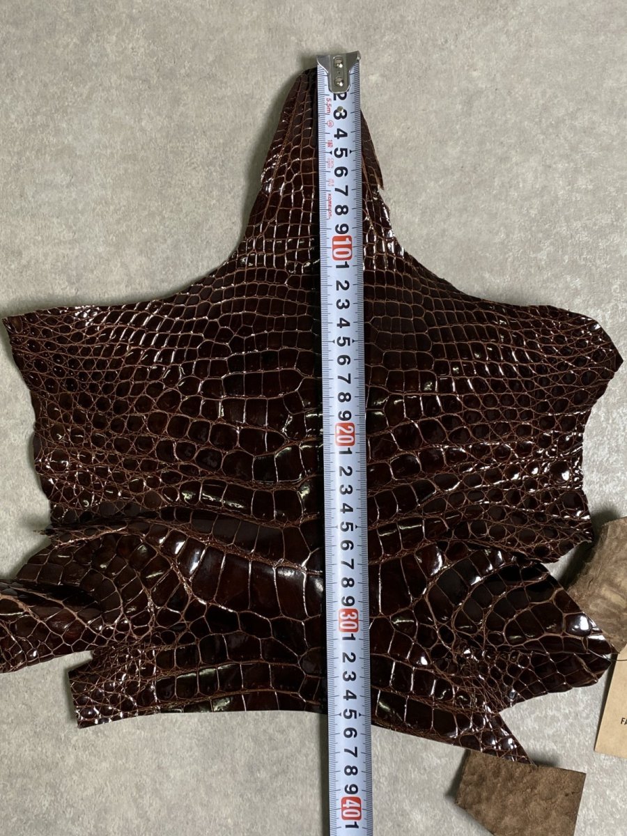 画像7: クロコダイル アゴ　シャイニング　ダークブラウン (7)