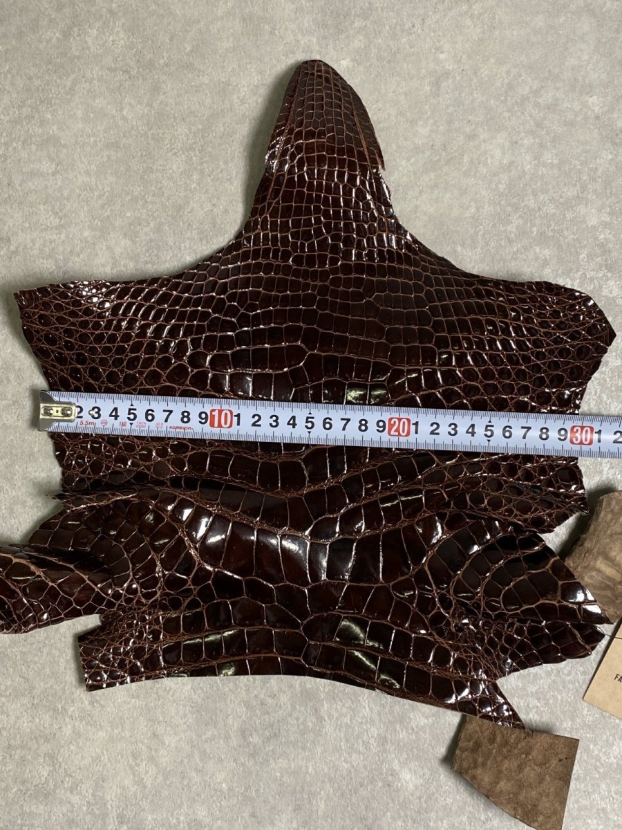 画像8: クロコダイル アゴ　シャイニング　ダークブラウン (8)