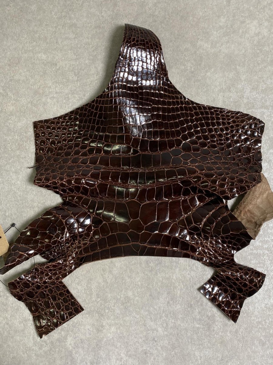 画像1: クロコダイル アゴ　シャイニング　ダークブラウン (1)