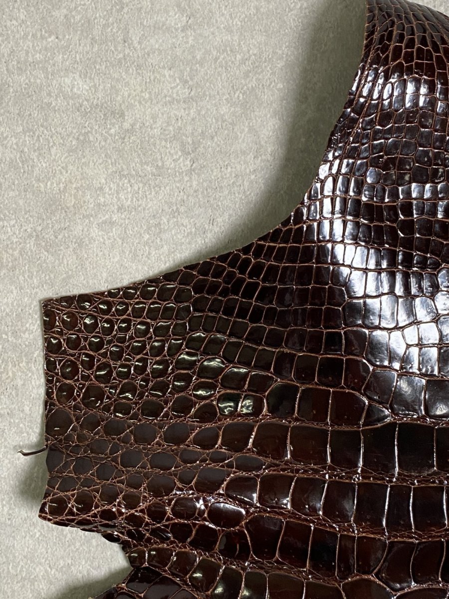 画像2: クロコダイル アゴ　シャイニング　ダークブラウン (2)