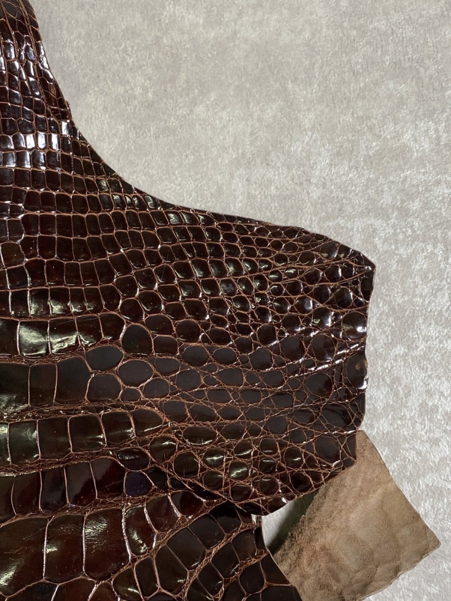 画像3: クロコダイル アゴ　シャイニング　ダークブラウン (3)