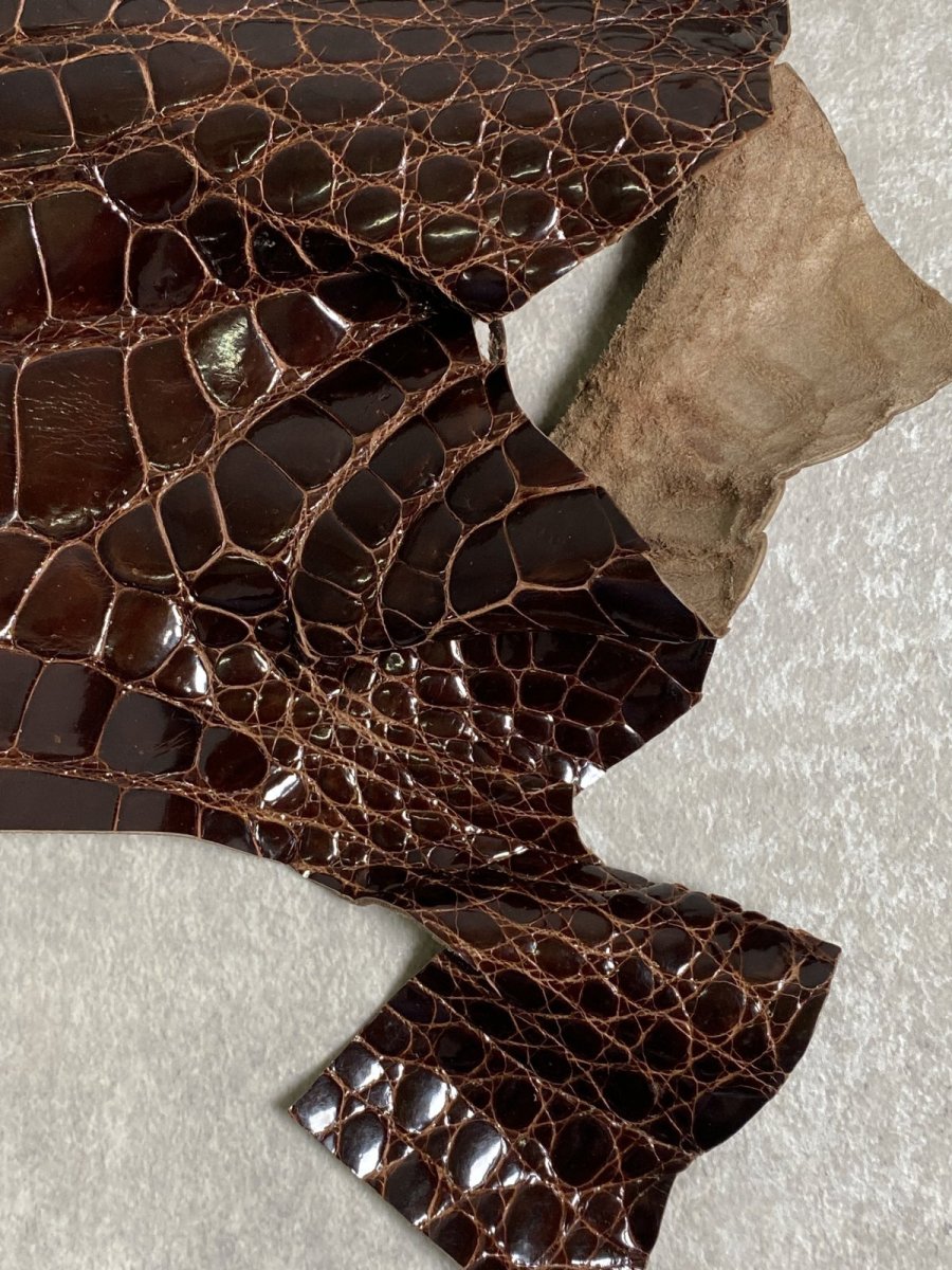 画像5: クロコダイル アゴ　シャイニング　ダークブラウン (5)