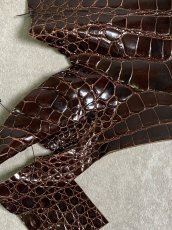 画像4: クロコダイル アゴ　シャイニング　ダークブラウン (4)
