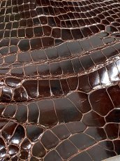 画像6: クロコダイル アゴ　シャイニング　ダークブラウン (6)