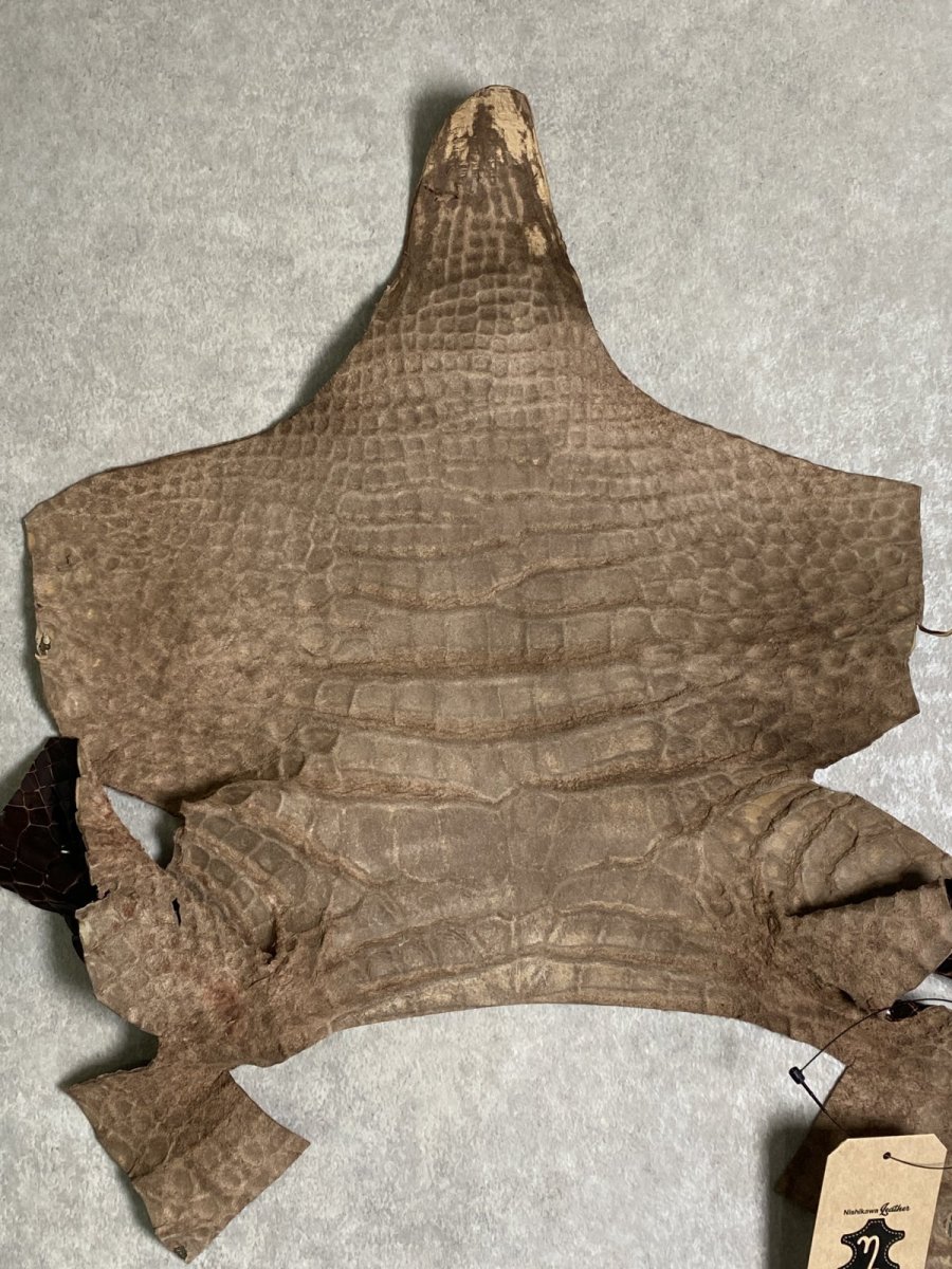 画像9: クロコダイル アゴ　シャイニング　ダークブラウン (9)