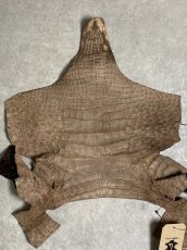 画像9: クロコダイル アゴ　シャイニング　ダークブラウン (9)