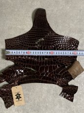 画像8: クロコダイル アゴ　シャイニング　ダークブラウン (8)