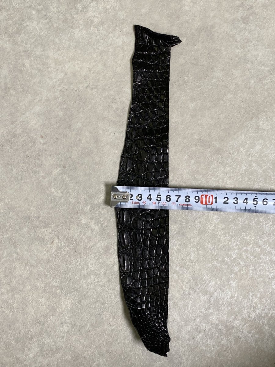 画像5: 最高級　スモールクロコ（ポロサス） ベリー　ブラック　 (5)