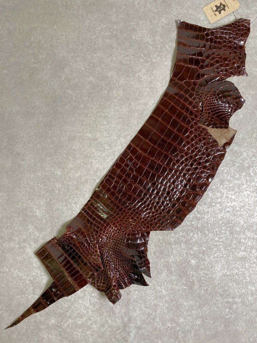 画像1: クロコダイル ベリー　シャイニング　ダークブラウン　 (1)