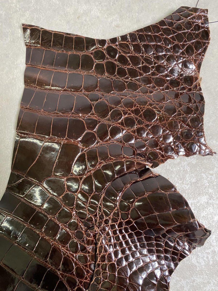 画像2: クロコダイル ベリー　シャイニング　ダークブラウン　 (2)