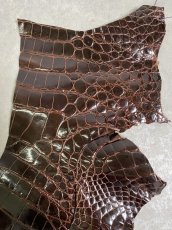 画像2: クロコダイル ベリー　シャイニング　ダークブラウン　 (2)