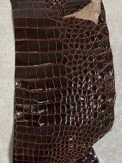 画像3: クロコダイル ベリー　シャイニング　ダークブラウン　 (3)