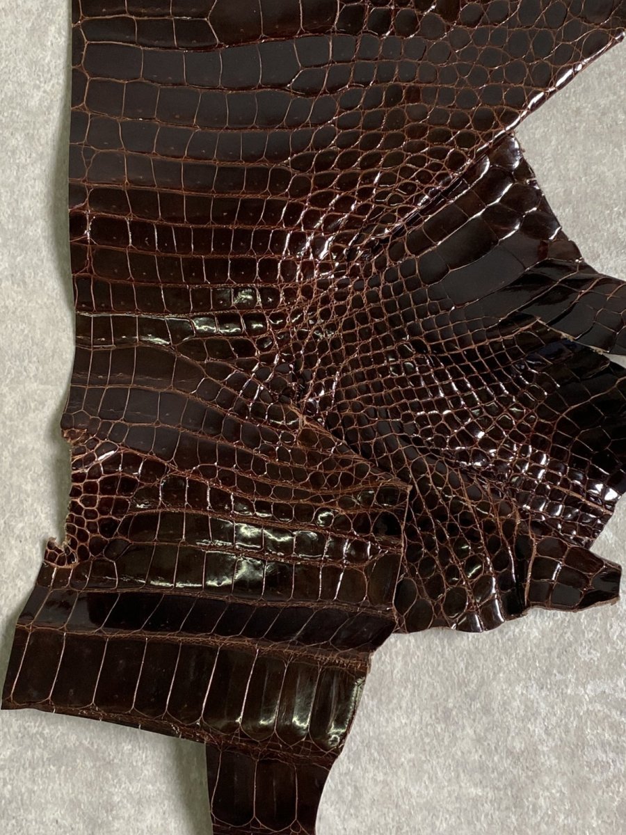 画像4: クロコダイル ベリー　シャイニング　ダークブラウン　 (4)