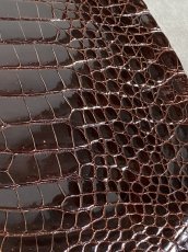 画像5: クロコダイル ベリー　シャイニング　ダークブラウン　 (5)