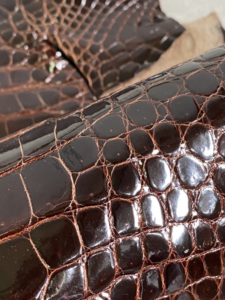 画像6: クロコダイル ベリー　シャイニング　ダークブラウン　 (6)