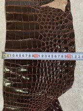 画像8: クロコダイル ベリー　シャイニング　ダークブラウン　 (8)