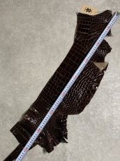 画像7: クロコダイル ベリー　シャイニング　ダークブラウン　 (7)