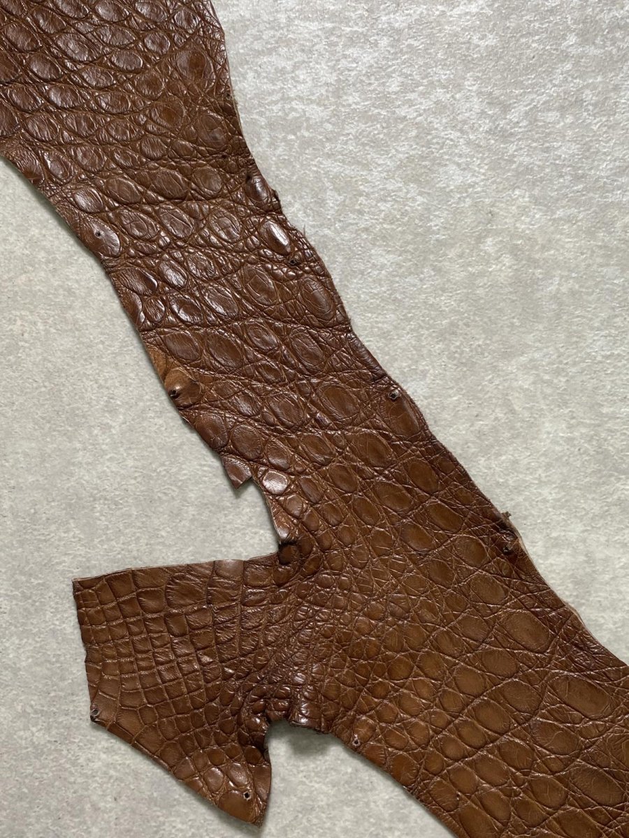 画像3: クロコダイル　 ベリー　ブラウン　 (3)