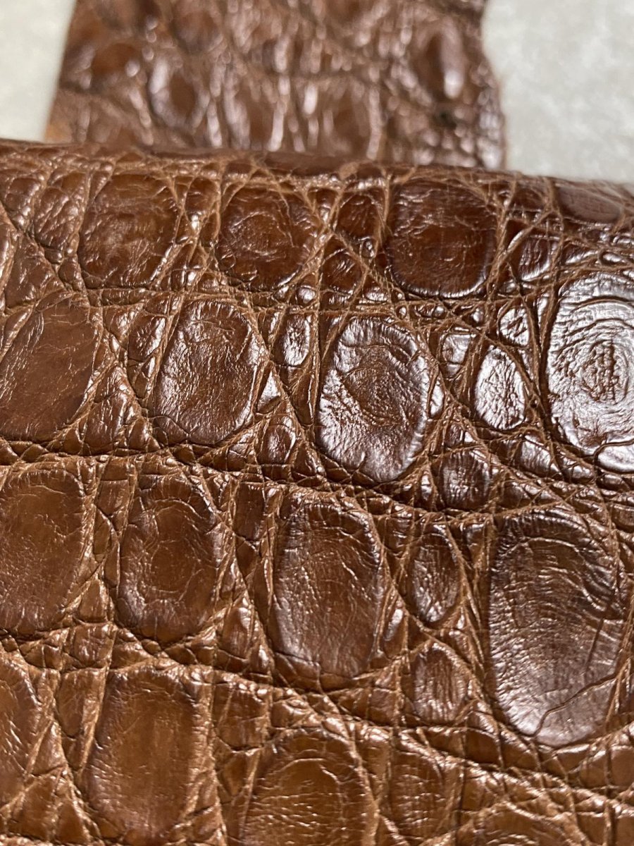 画像6: クロコダイル　 ベリー　ブラウン　 (6)