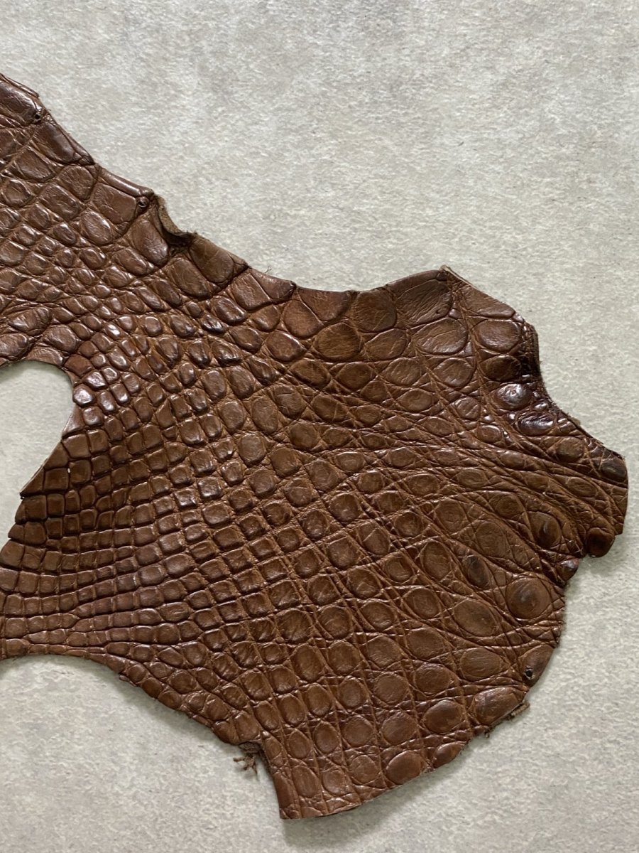 画像5: クロコダイル　 ベリー　ブラウン　 (5)