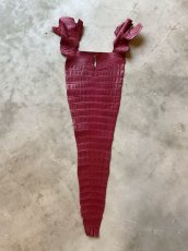 画像1: クロコダイル　尻尾　カンパリ (1)