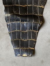画像5: クロコダイル　尻尾　ブラック　目地ゴールド (5)