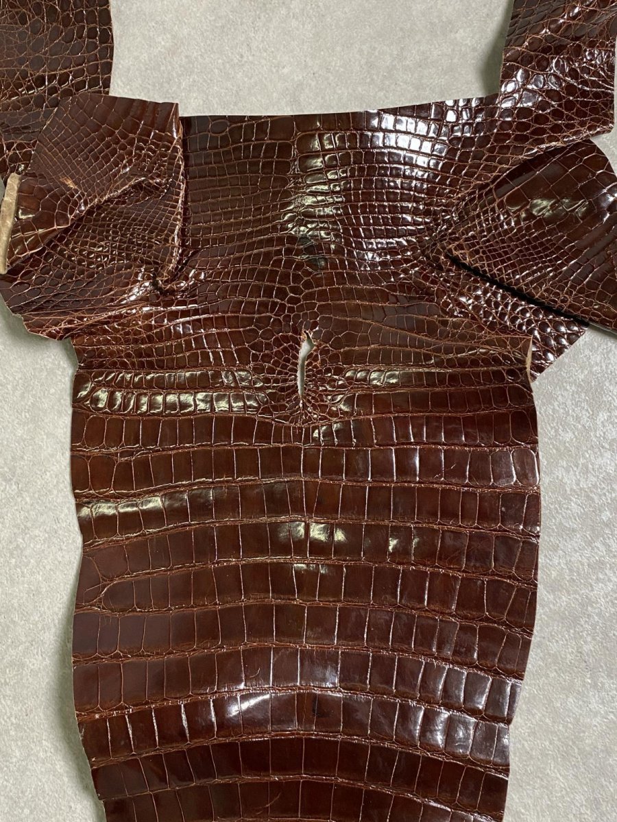 画像4: クロコダイル　尻尾　シャイニング　ダークブラウン (4)