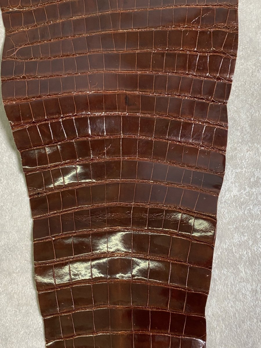 画像5: クロコダイル　尻尾　シャイニング　ダークブラウン (5)