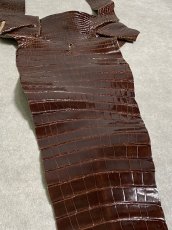 画像7: クロコダイル　尻尾　シャイニング　ダークブラウン (7)