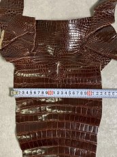 画像10: クロコダイル　尻尾　シャイニング　ダークブラウン (10)