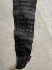 画像4: スモールクロコ（ポロサス） 尻尾　ブラック　 (4)