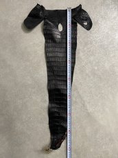 画像6: スモールクロコ（ポロサス） 尻尾　ブラック　 (6)