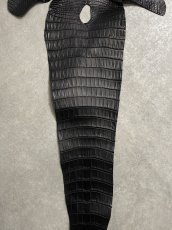 画像3: スモールクロコ（ポロサス） 尻尾　ブラック　 (3)