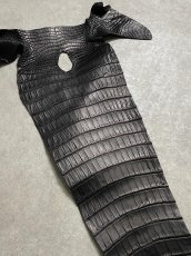 画像5: スモールクロコ（ポロサス） 尻尾　ブラック　 (5)